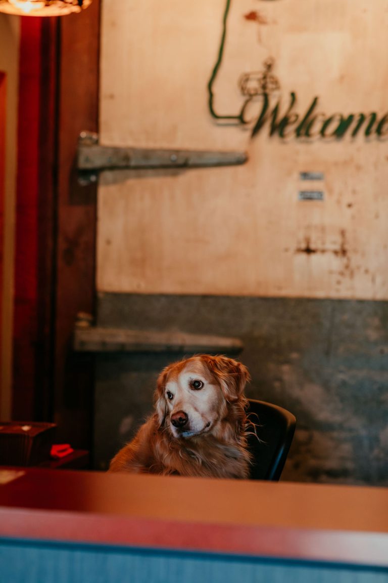 Murphy is dedicated to greeting and keeping the offices at Roseburg Disposal Enjoyable.